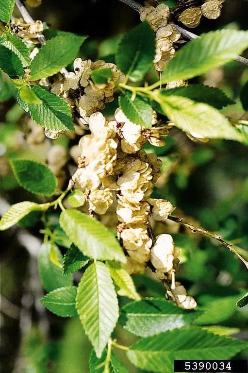 Photo 5 of 5