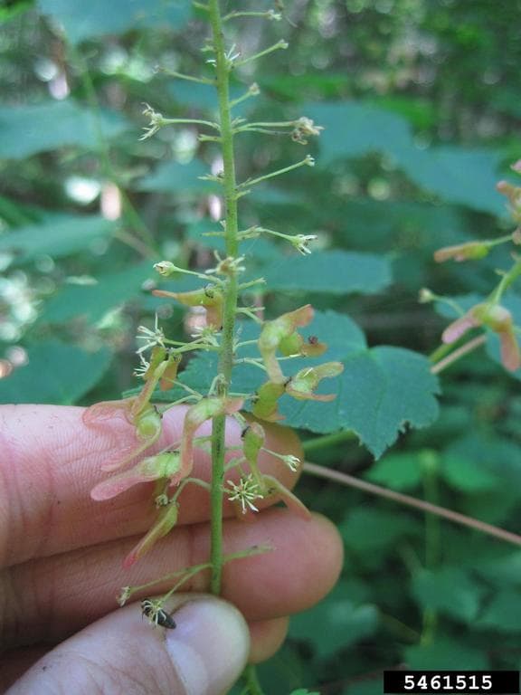 Photo 6 of 7