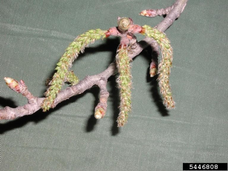 Photo 5 of 5