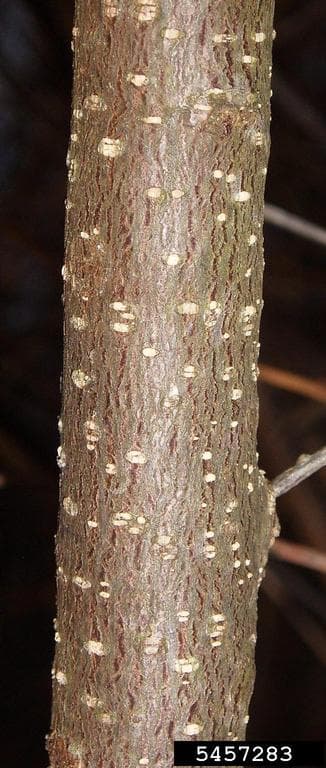 Photo 2 of 6